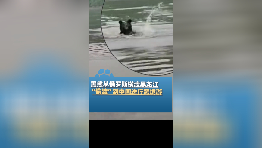 香港6合开彩开奖今天,摄影爱好者拍摄“七星连珠”,决策资料解释落实_枚举版V8.23