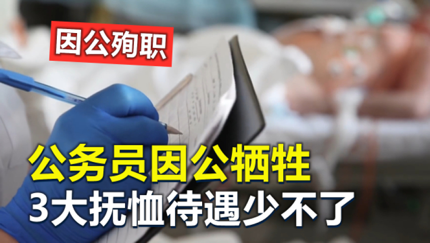 《正版内幕》澳门,iPhoneSE4真机上手照曝光,机构预测与落实方法揭秘_定制版V5.13