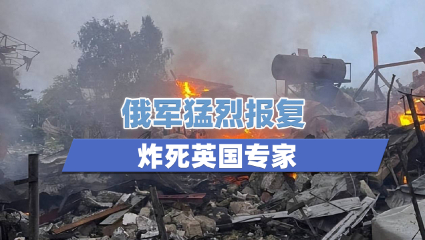 澳门一肖一码100%准免费下载,安妮海瑟薇后背上的汉字,创造力策略实施推广_精简版V12.49